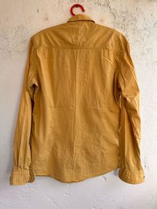 Men's Mustard Yellow Long Sleeve Shirt