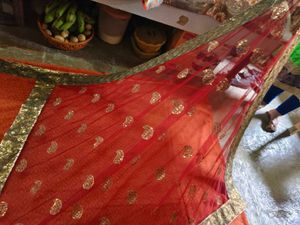 Beautiful Orange Ethnic Saree