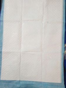 Absorbent Pet Pee Pads