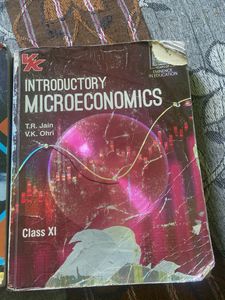Class XI Economics Books Set