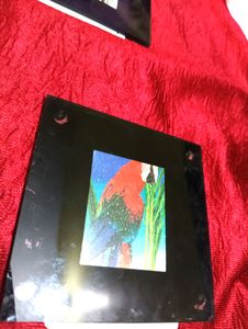 Set Of 4 Glass Coaster