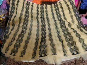 Elegant indo wastern cindrella skirt