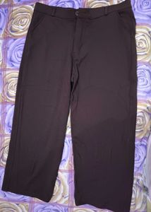 Formal Coffee Brown Pant