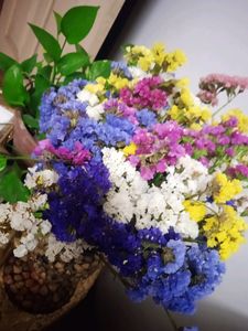 Dry Flowers
