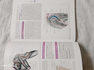 Cunningham's Manual of Practical Anatomy