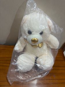Cute Cream Teddy Bear