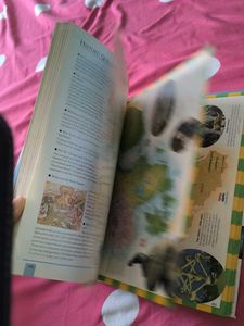Children's Illustrated Encyclopedia