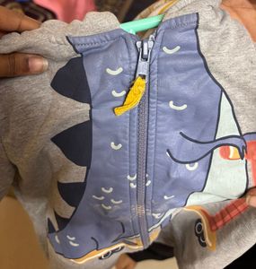 Dino Hoodie With 3D Spikes And Soft Cotton Lining