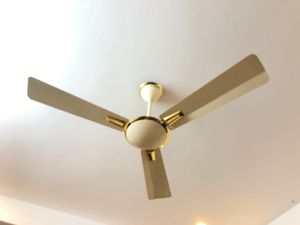Elegant Ceiling Fan
