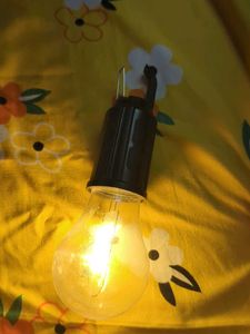 Incandescent Light Bulb