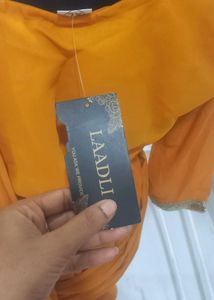 Elegant Orange Saree with Embellishments