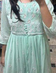 Mint Green Chikankari Gown