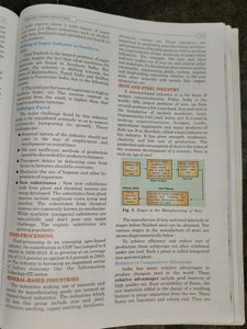 Class X Geography Textbook - Term I &amp; II