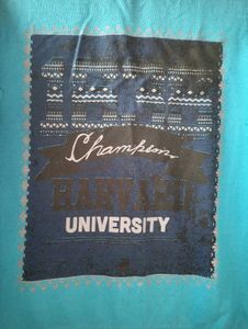 Blue Sweat Shirt New Women