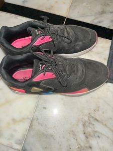 campus shoes