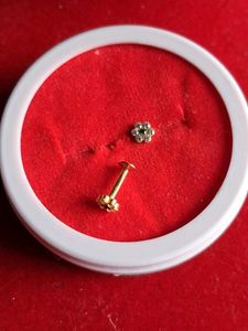 beautiful Flower desine Stud Earrings