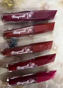 Liquid lipstick, nude shape, Sindhu combo set