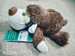 bearhugs