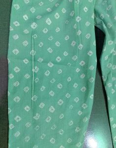 Stylish Mint Green Ethnic Pant Plazoo