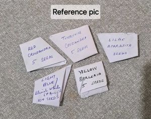 RARE FLOWERING PLANT SEEDS