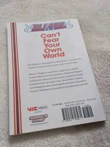 Bleach: Can't Fear Your Own World I
