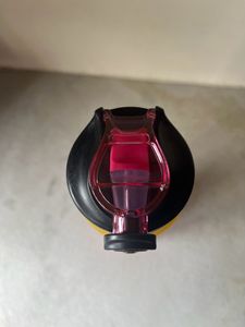 Gradient Water bottles