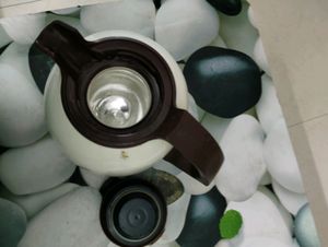 Insulated Coffee/tea Flask
