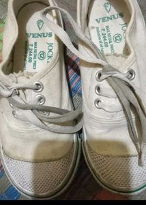 Classic White Canvas Sneakers