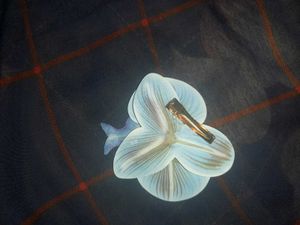 Elegant Orchid Brooch with Pearl Accent