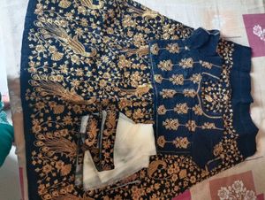 Exquisite Navy Blue Embroidered Lehenga Choli