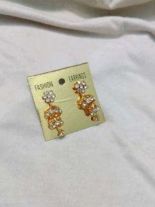 Elegant covering Earrings