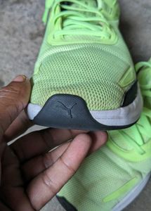 Puma Neon Running shoes 👟