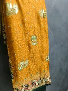 Embroidered saree and blouse