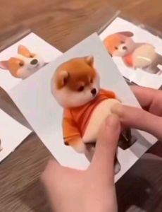 Funny Belly Puppy Showp(270 for 2 sticker)