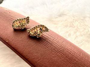 Elegant Leaf Design Earrings