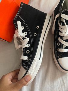 Brand new Mozafia Converse