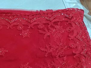 Elegant Red Embroidered Saree brand new with plain