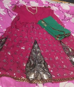 Pink & Silver Embellished Lehenga Choli Set