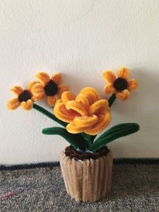 Handmade Pipe Cleaner Flower Pot