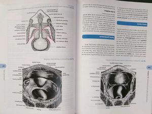 Cunningham's Manual of Practical Anatomy