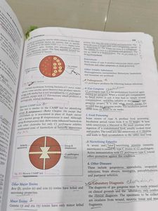 Microbiology Textbook - Fifth Edition
