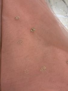 Beautiful Peach Embellished Dupatta