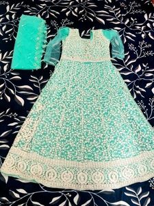 Women's Mint Green Chikankari Ethnic Long Gown - P