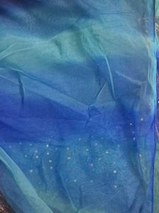 Handwork Zari embroidered Net Sari