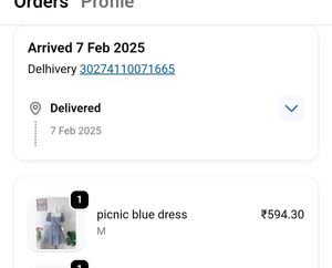 Blue Gingham Puff Sleeve Dress