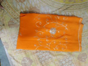 Orange Saree with Silver Embroidery