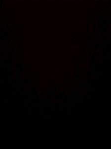 Test Duppatta 1