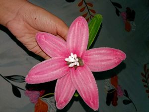 💐Handmade Lily 🎀