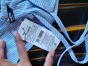 Shein Blue Striped Crop Top with plazzo