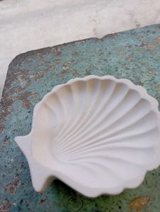 this is the shell tray same in th